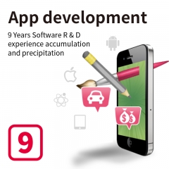 Professional customization IOS Android Windows Software Development